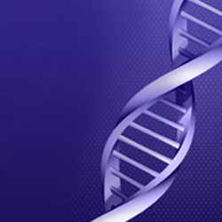Construction and validation of a nomogram for the diagnosis of postmenopausal osteoporosis.